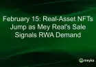 Real-Asset NFTs Surge Following Mey Real’s February 15 Sale