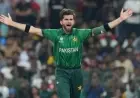 Shaheen Afridi Bears Brunt of Backlash After Costly Spell in Colombo