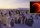 Antarctica Hosts Rare ‘Ring of Fire’ Solar Eclipse on February 17