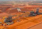 Fortescue Confidently Pursues Real Zero with Ambitious Reforestation Efforts