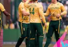 uae vs south africa: Proteas cruise to comfortable win in final group game