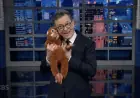 Stephen Colbert Buys Toy for Viral Star punch the monkey After Abandonment Story