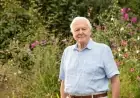 David Attenborough centenary: BBC to air three special programmes