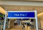 TSA PreCheck Suspended Then Restored: Government Shutdown Chaos Hits Airports Nationwide