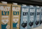 Oat Milk Ban: UK Supreme Court Rules Oatly Cannot Use "Milk" — What It Means for Plant-Based Industry
