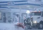 New Jersey Blizzard 2026: Snowfall Totals, Travel Ban, Power Outages and State of Emergency