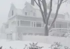 Boston Blizzard 2026 LIVE: Massachusetts State of Emergency, 280,000+ Power Outages, School Cancellations and Snow Totals