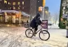 Snow Storm Weather Forecast New York: Record snowfall leaves city and east coast at a standstill
