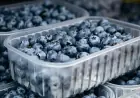 Blueberry Recall Upgraded to Highest Risk Level After Listeria Concern