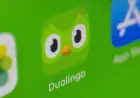 Duolingo Stock Falls After Growth-Focused Guidance, Despite Q4 Revenue Beat