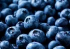 Blueberry Recall expands after Oregon company flags possible Listeria contamination