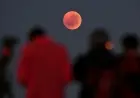 Total Lunar Eclipse Blood Moon to Turn Coppery Red in Early Hours of March 3