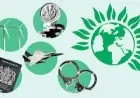 Green Party Policies draw satirical fire over homes and net-zero pledge