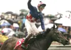 Legendary Racehorse Makybe Diva Dies at 27