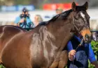 Farewell to the Legendary Makybe Diva