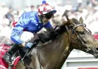 Legendary Melbourne Cup Champion Makybe Diva Passes, Racing World Mourns