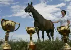 Diva’s Historic Triumph: The Legendary Horse that Redefined Records