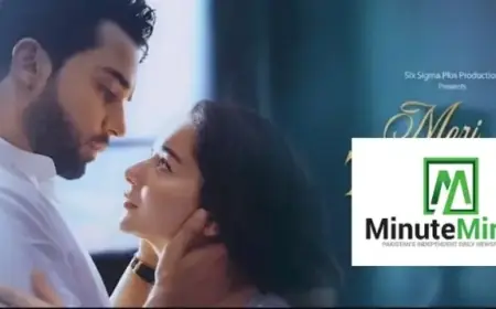 “Meri Zindagi Hai Tu: Viewers Confused, Not Moved”