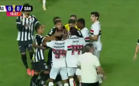 Brawl Halts São Paulo vs. Santos Paulistão Match at Morumbi Stadium