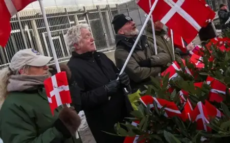 Copenhagen Protesters Rally for Danish Veterans Following Trump Comments