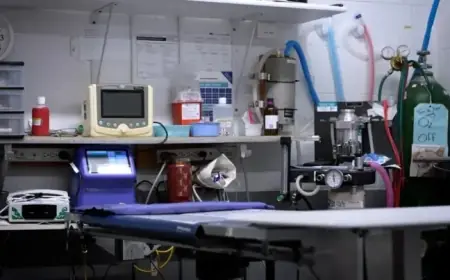 Earthquake Strikes Great Falls Amid Veterinary Surgery