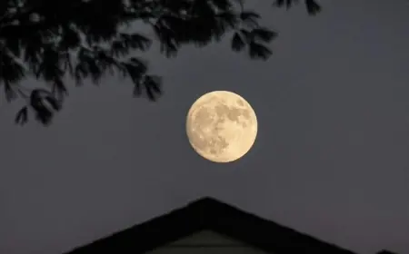 Full moon February 2026: next full moon peaks Sunday evening