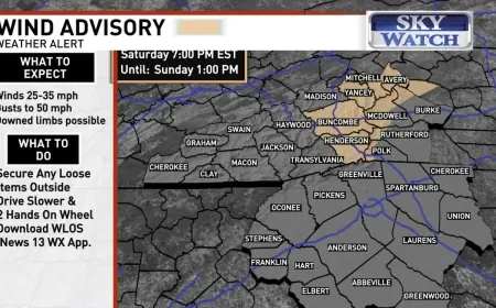 Wind advisory in effect as East Coast storm drives dangerous gusts and outages