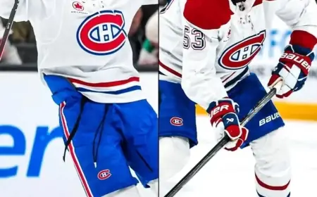 Lane Hutson and Noah Dobson: A Long-Term Partnership Possible?