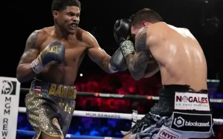 Madison Square Garden Threatens Life Bans for Brawlers at Lopez-Stevenson Fight