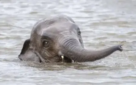 Tracking the MAFS 2025 Cast: Weddings, Secret Romances, and Transformations