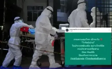 Marine Rescue NSW Leads Multi-Agency Hunt for Missing Maroubra Beach Swimmer