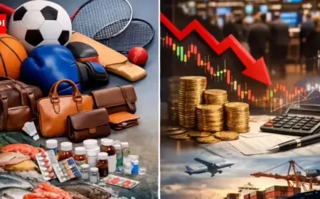 Union Budget 2026-27: Discover What Becomes Cheaper and Pricier