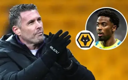 Wolves Lead Race for Ex-Man Utd Star Amid Newcastle, Everton Interest