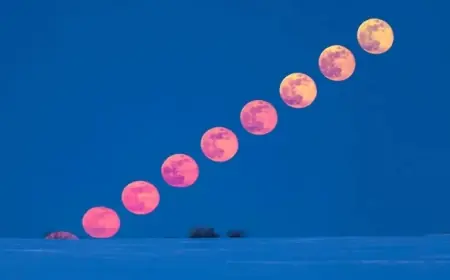 Witness the Winter’s Final Snow Moon Tonight: 6 Compelling Reasons to Watch