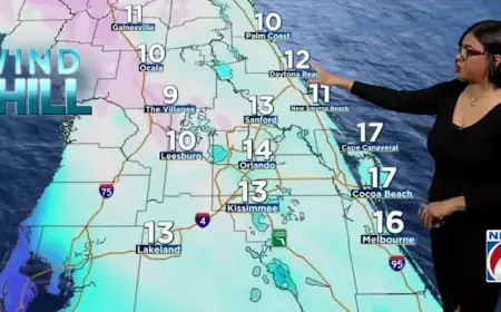 Central Florida Heats Up Briefly Before Major Cold Front Arrives