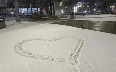 Snowstorm Blankets Myrtle Beach: Which Area Receives the Most Snow?