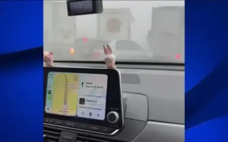 Video Reveals 59-Vehicle Highway 99 Pileup Chaos in Tulare County