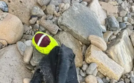 Coastguards Mobilize to Save ‘Unusual Casualty’