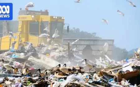 Queensland Boosts Recycling Efforts Following Missed Waste Targets