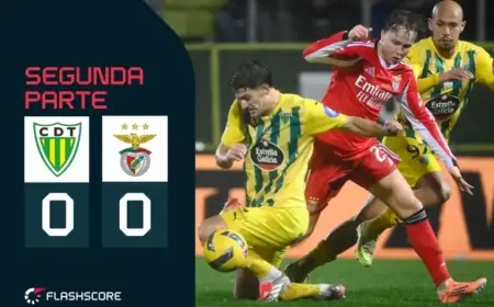 Live: Schjelderup and Prestianni Show High Activity