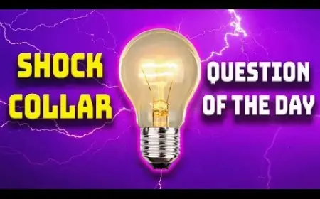 Brooke and Jeffrey Ignite ‘Mustache Mania’ in Shock Collar Trivia Event