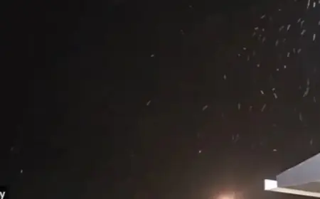 Snow Falls in Tampa Bay: Flurries Surprise Residents