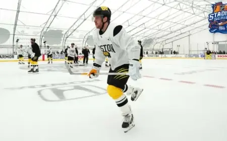 Pastrnak Showcases Brilliance for Bruins in Stadium Series