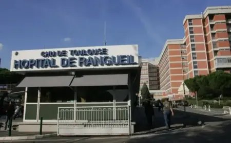 Bomb Discovered in Patient at Toulouse Hospital; Firefighters and Deminers Respond