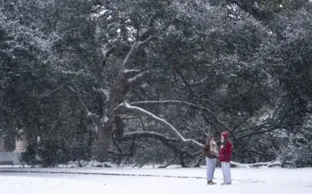 Bomb Cyclone Unleashes Intense Cold and Snow on the Southeast: NPR