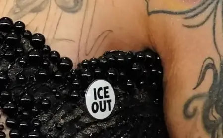 Stars Protest ICE with Bold Pins at the Grammys