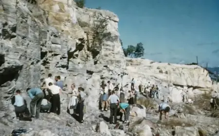 Brisbane Suburb Unearths Australia’s Oldest Dinosaur Fossil