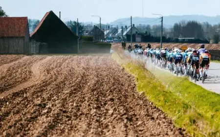 Zone 2 Expansion Needed for Growing Demand