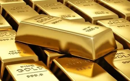 Gold price today falls about 3.5% as traders digest a sharp pullback