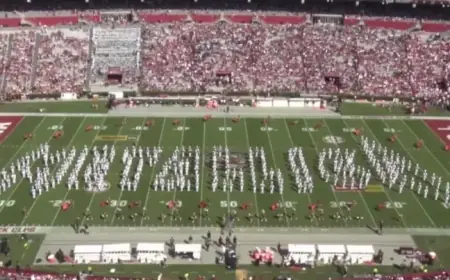 Metallica Chooses USC Band for New Video Game Soundtrack